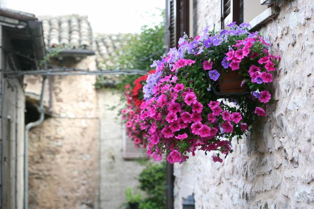 Hotel Palazzo Brunamonti 베바냐 외부 사진