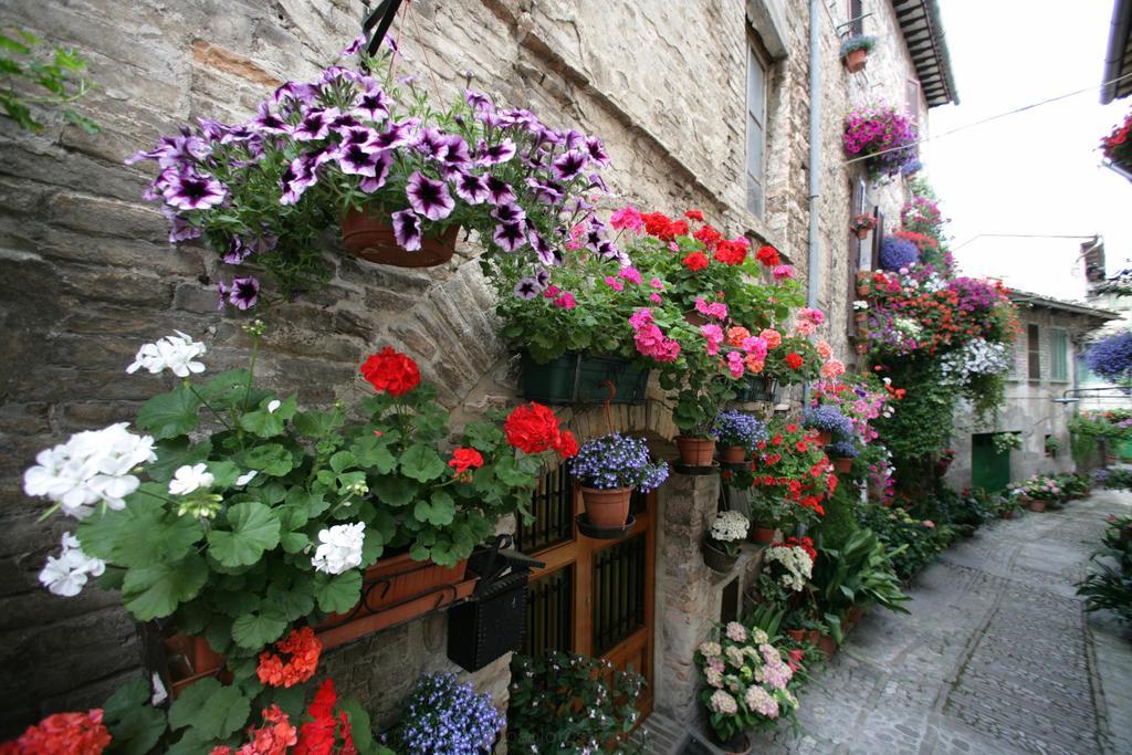 Hotel Palazzo Brunamonti 베바냐 외부 사진